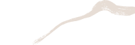 Art Curve